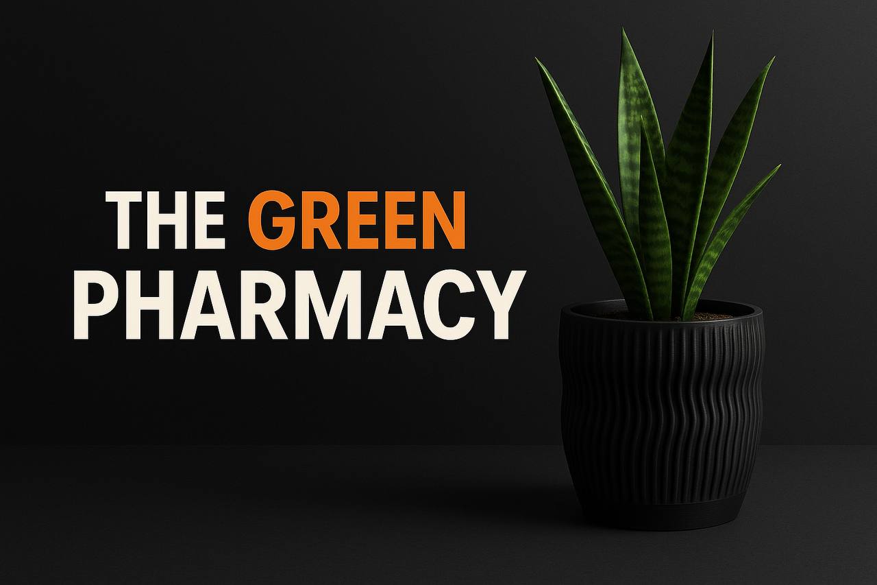 Modern 3D printed planter with green plant — symbol of wellness and natural balance