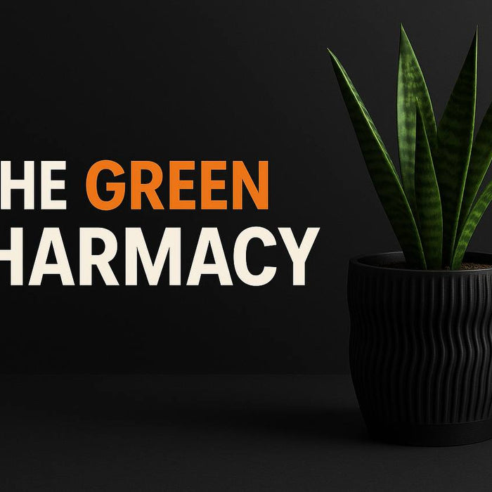 Modern 3D printed planter with green plant — symbol of wellness and natural balance