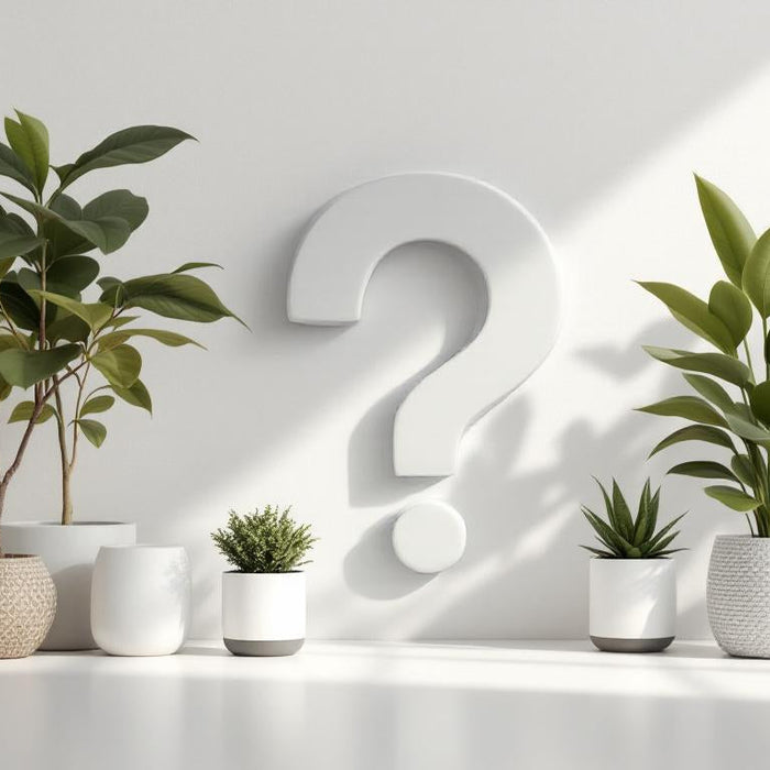 How to Choose the Right Pot for Indoor Plants: A Practical Guide