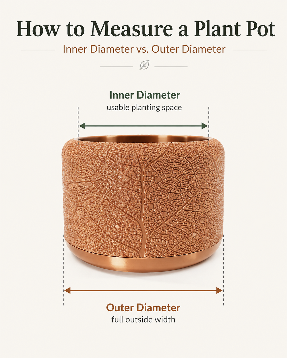 How to Measure a Plant Pot: Inner Diameter vs. Outer Diameter