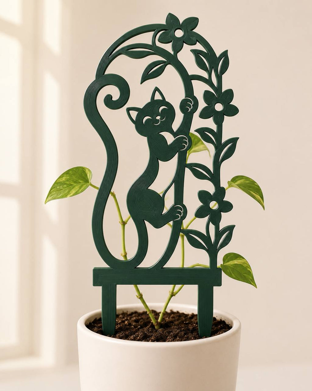 Miora cat plant trellis supporting a climbing pothos vine in a white planter
