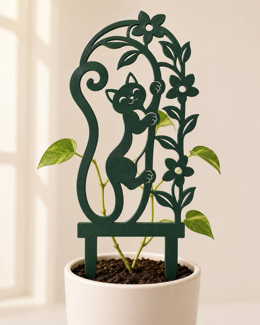 Miora cat plant trellis supporting a climbing pothos vine in a white planter