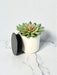 Pot Stand "Pinwheel" – 3D Printed Square Pot Riser with Geometric Lattice | Modern Indoor Plant Holder in Multiple Sizes and Colors