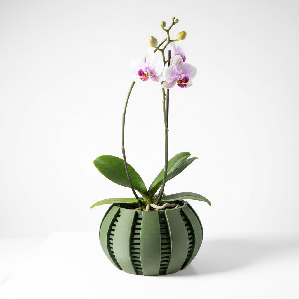 Arik curved open slats ventilated orchid pot, side view