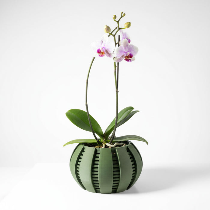 Orchid Pot "Arik" eco-friendly, drainage |  color & size options