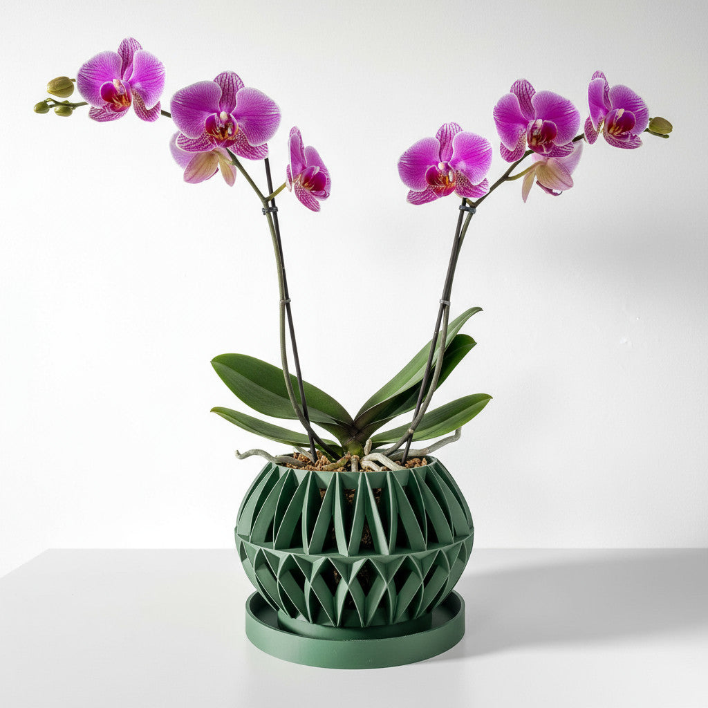 Oku angular lattice ventilated orchid pot, front view