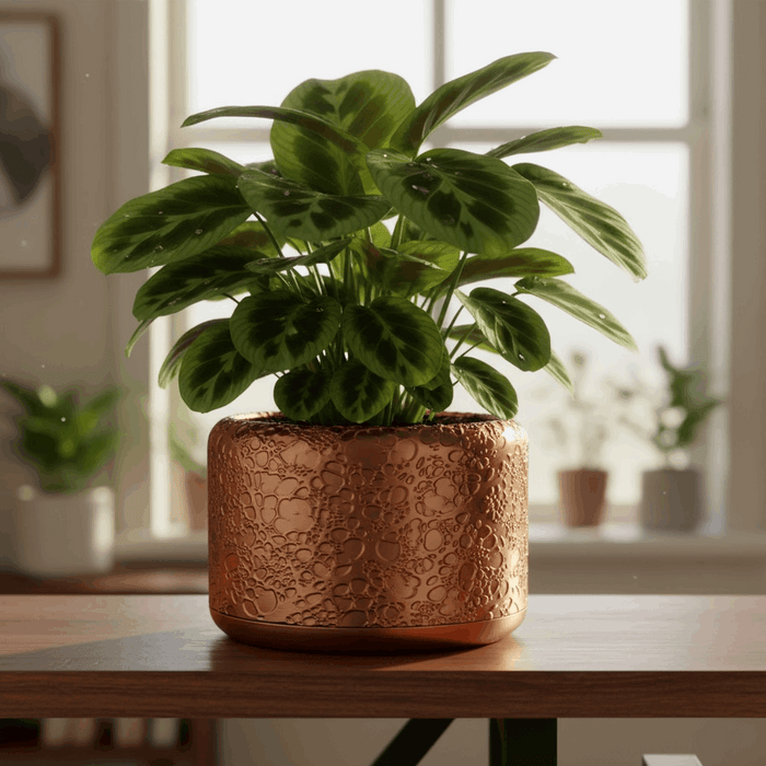 Modern 3D Printed Planter “Aero” by Viviero3D – Artistic Bubble Texture Plant Pot