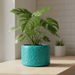 Modern 3D Printed Planter “Aero” by Viviero3D – Artistic Bubble Texture Plant Pot