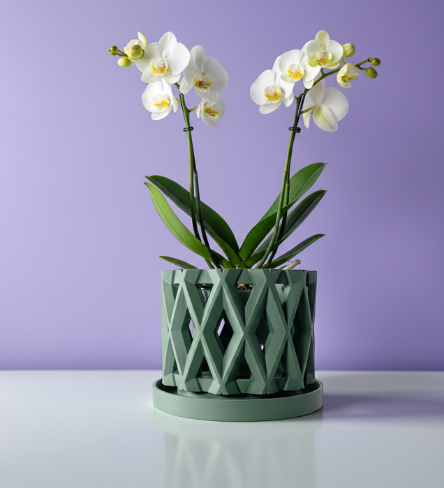 Orchid Pot "Alune" eco-friendly, drainage |  color & size options