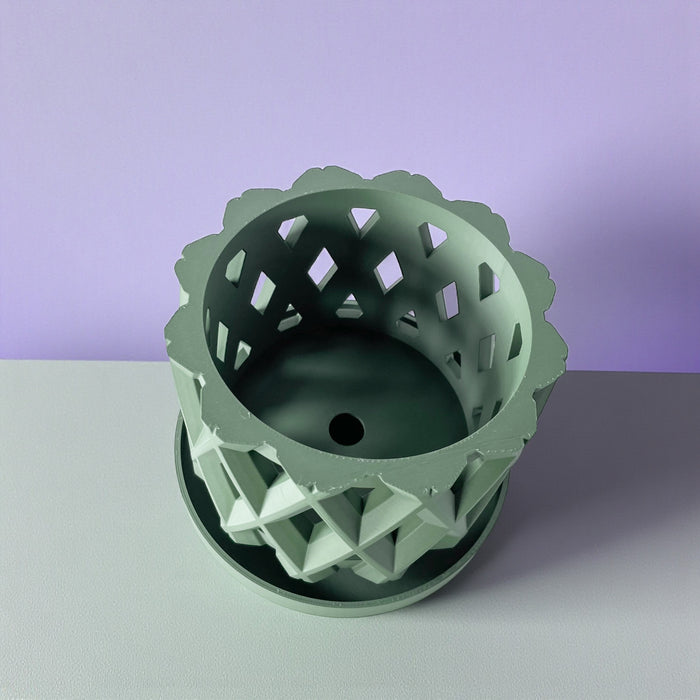 Orchid Pot "Alune" eco-friendly, drainage |  color & size options