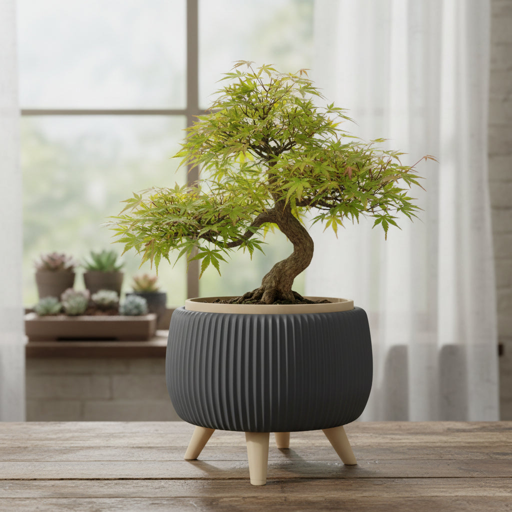 Arco raised two-color form with legs and a removable inner insert bonsai planter, top opening view