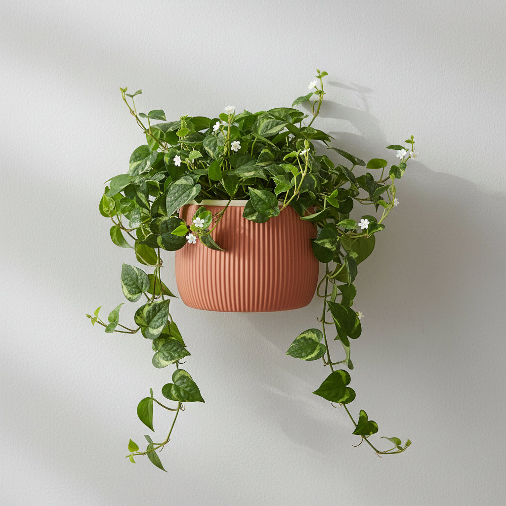 Side view of the Arco wall mounted plant pot