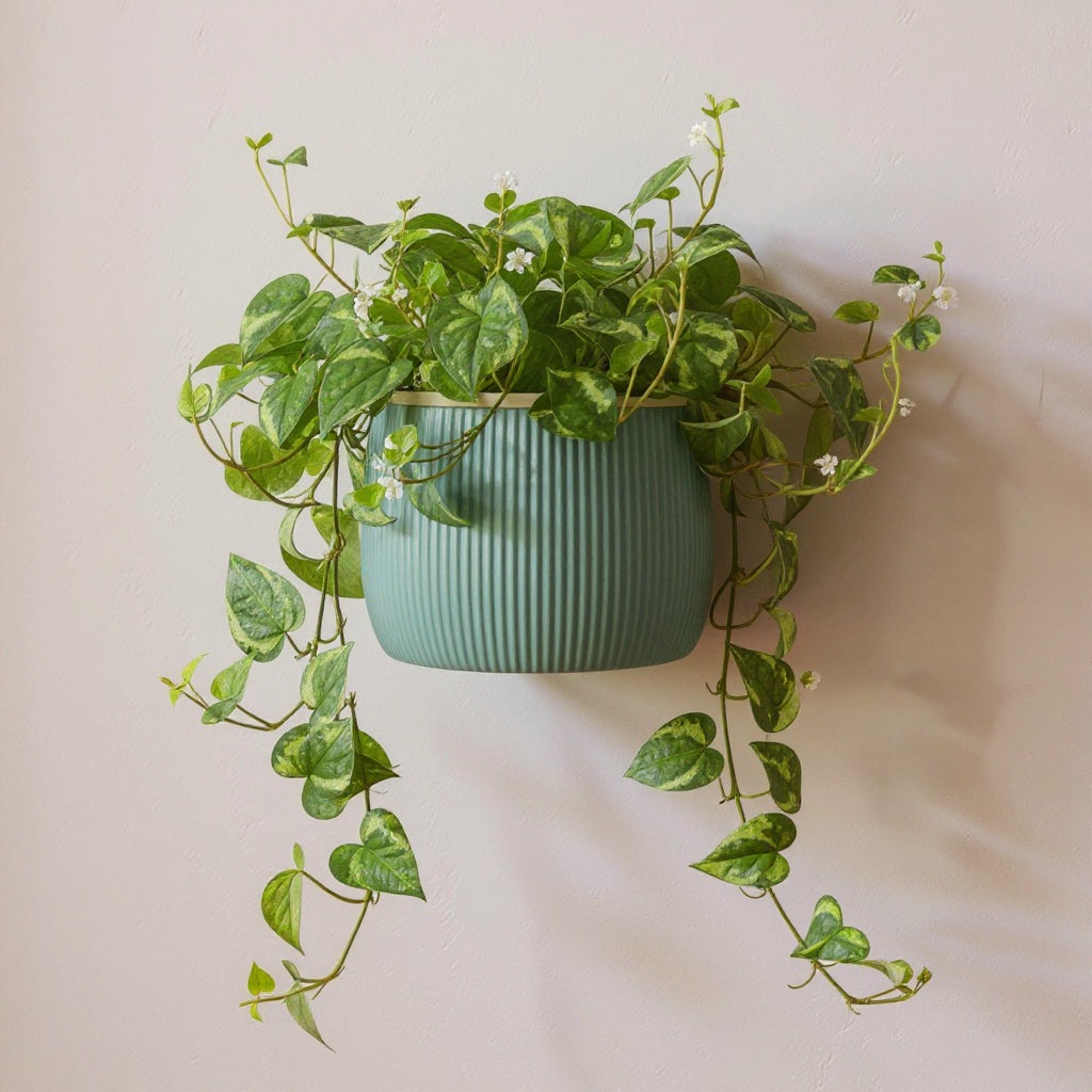 Angled view of the Arco two-color wall planter