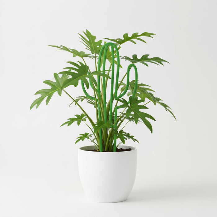 3D Printed Plant Support "Cacto"