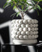 Stylish 3D printed white planter with vibrant green plant growing from it, photographed in bright lighting; the planter's tightly woven design and cylindrical shape are displayed on a reflective surface, giving it an elegant, modern look.