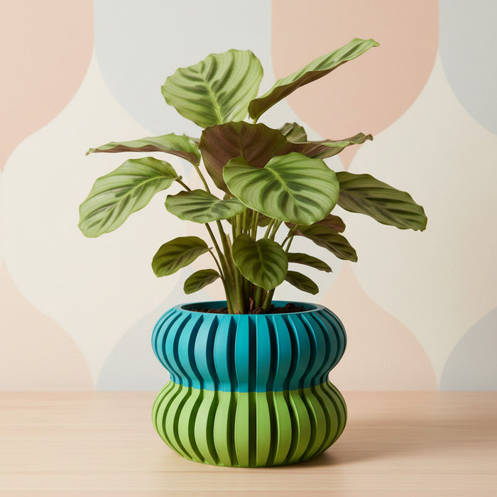 3D Printed Planter “Daso” – Textured Sculptural Plant Pot, Dual or Single Color Options
