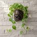 Echo Wall Planter — 3D Printed Face Sculpture Planter, Modern Emotional Wall Decor, Artistic Hanging Plant Pot
