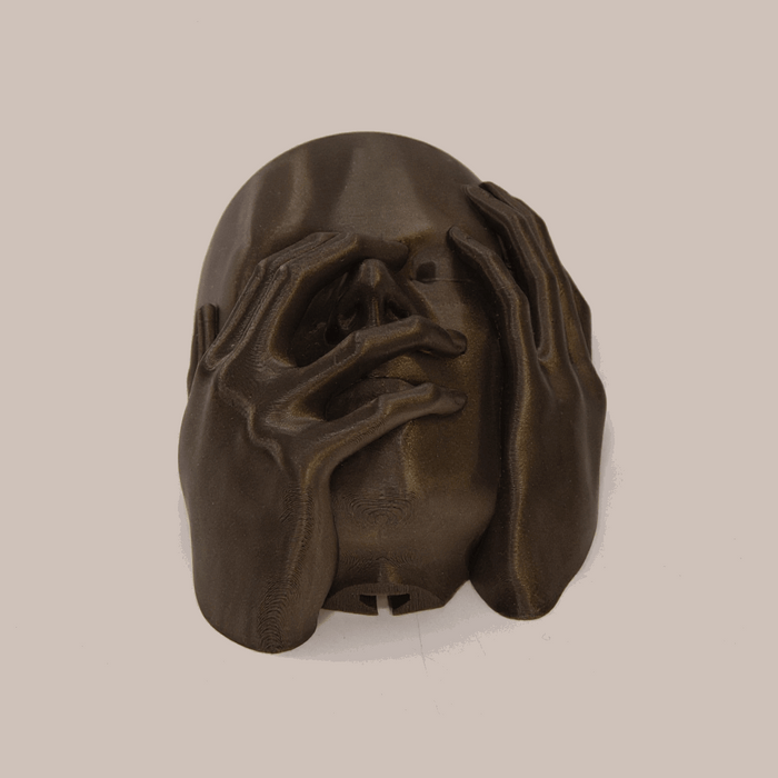 Echo Wall Planter — 3D Printed Face Sculpture Planter, Modern Emotional Wall Decor, Artistic Hanging Plant Pot