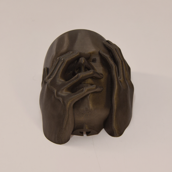 Echo Wall Planter — 3D Printed Face Sculpture Planter, Modern Emotional Wall Decor, Artistic Hanging Plant Pot