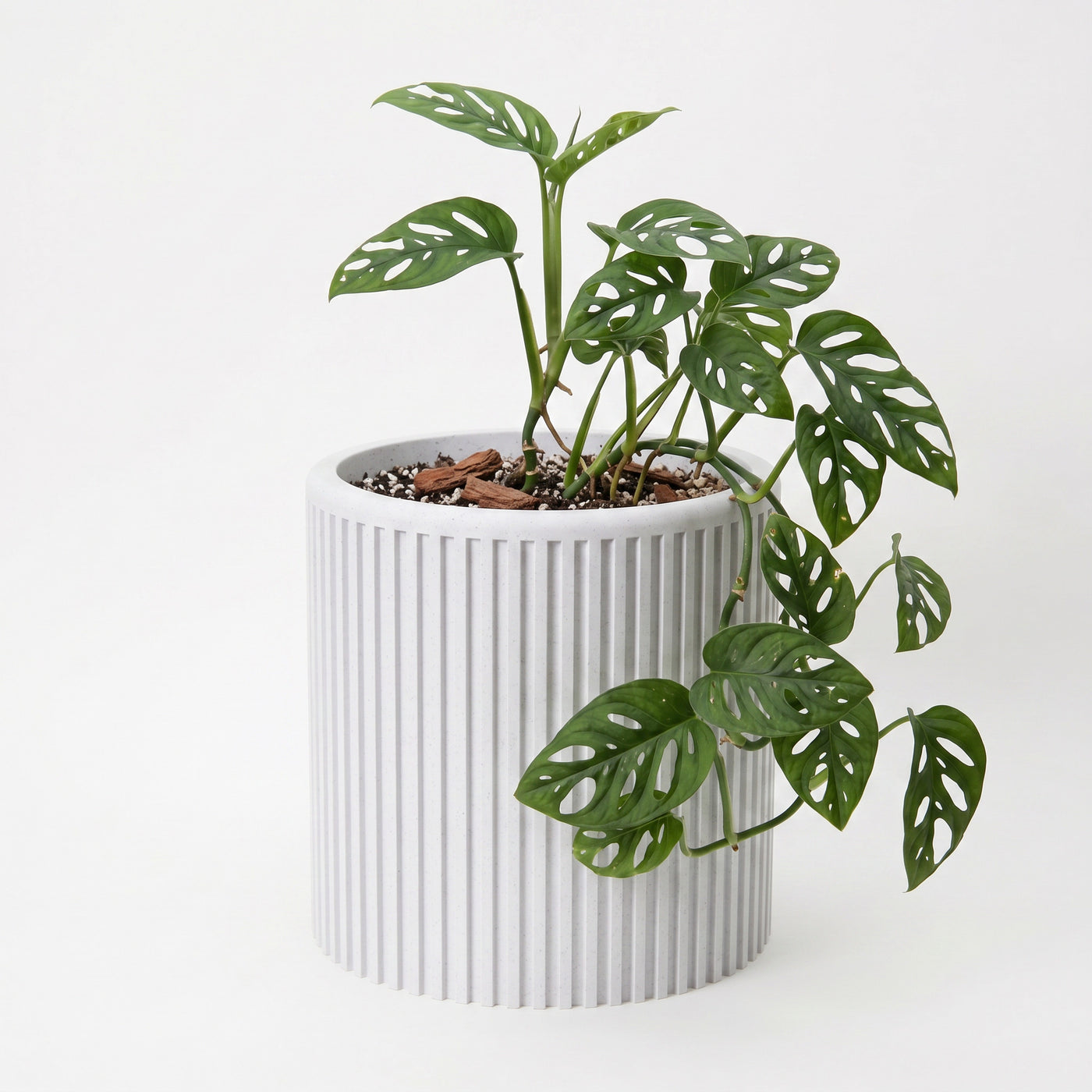 Sano even vertical ribs and a clean cylindrical silhouette indoor planter, front view