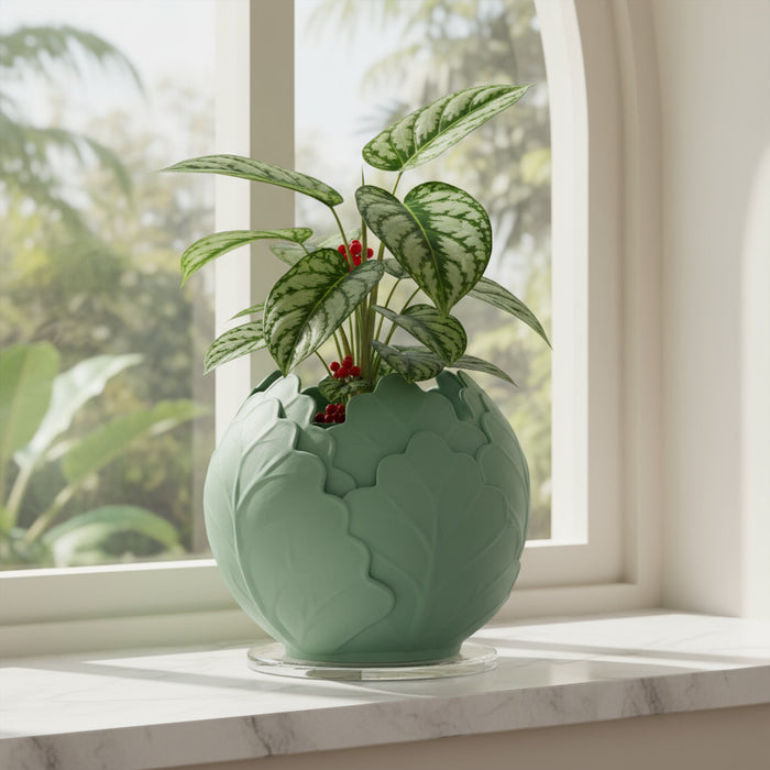 3D Printed Planter Pot "Folira" – Leaf Design Plant Pot with Drainage | Modern Decorative Pot
