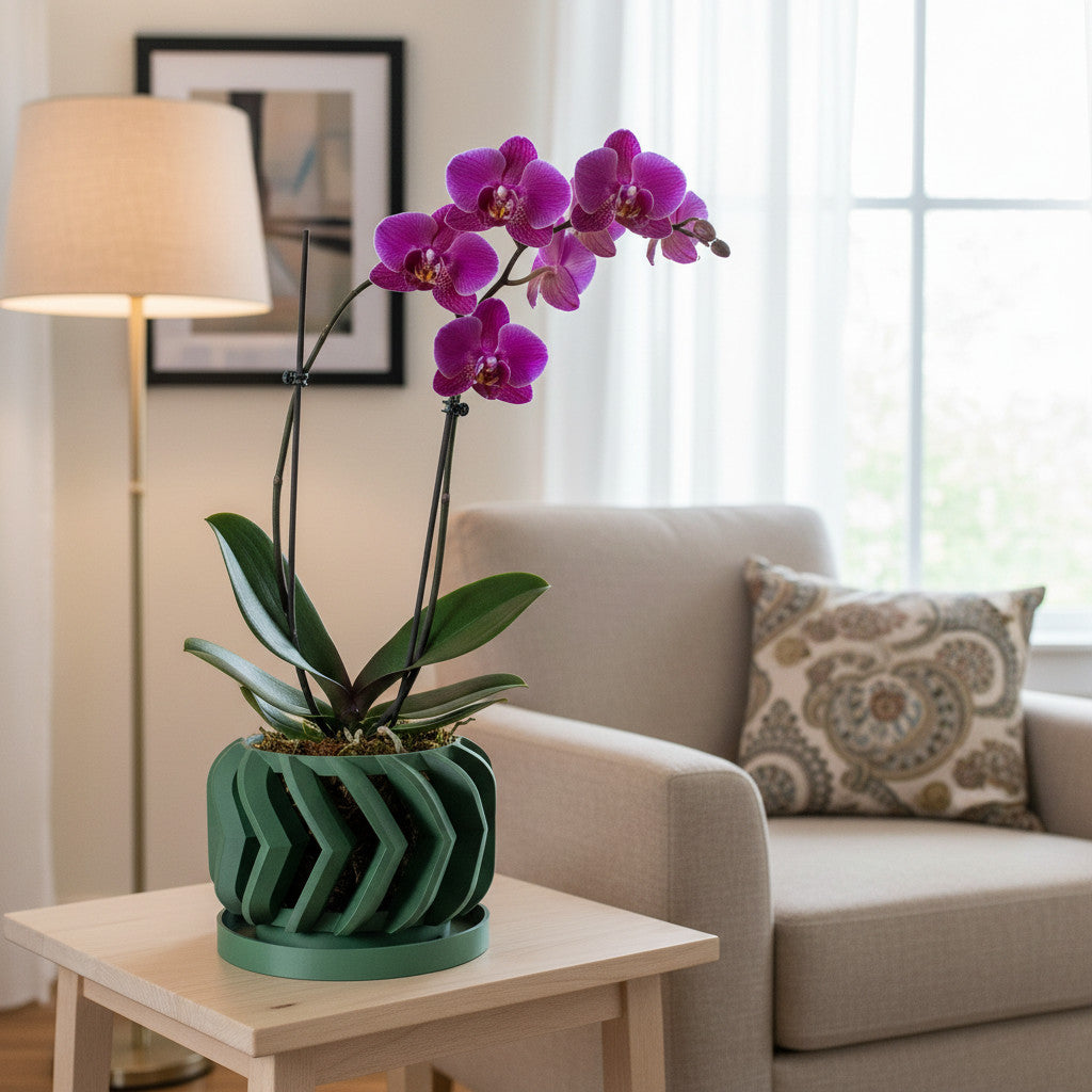 Garni balanced ribbed form ventilated orchid pot, front view