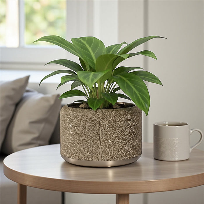 "Leaf Vein" Planter Pot with Drainage | Modern Textured Plant Pot | 3D Printed Succulent Pot Gift & Unique Home Decor