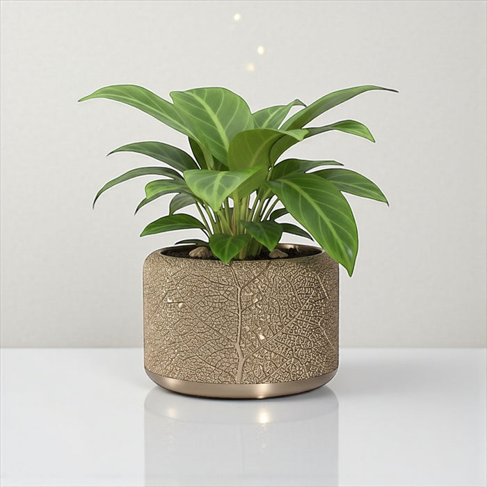 "Leaf Vein" Planter Pot with Drainage | Modern Textured Plant Pot | 3D Printed Succulent Pot Gift & Unique Home Decor