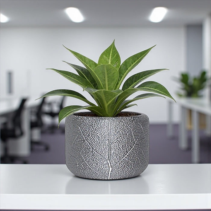 silver plant pots indoor Leaf Vein Planter Pot 4"|10cm +hole