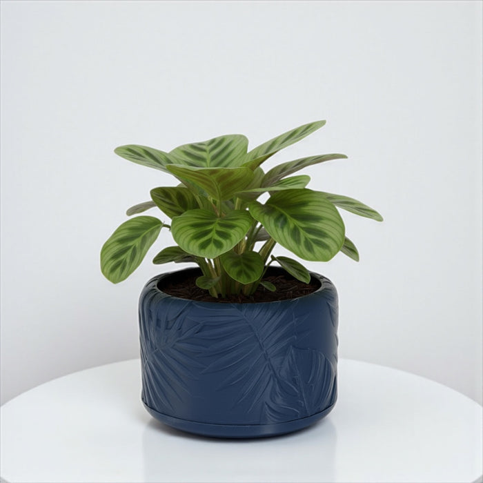 Planter Pot "Tropica" – 3D Printed Decorative Plant Pot with Drainage Options, Modern Tropical Leaf Design