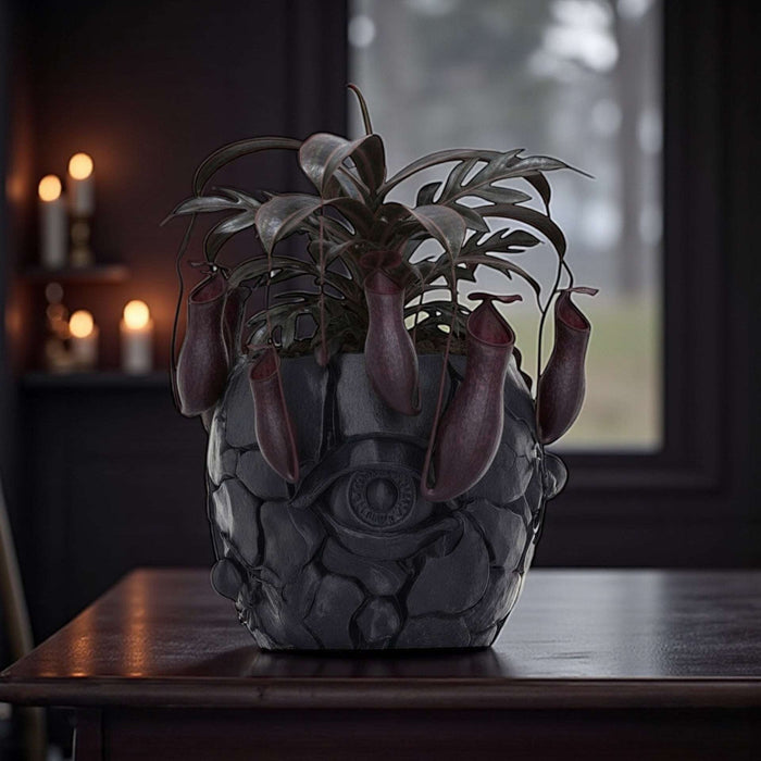 3D Printed "Cragma" Planter – Modern Sculptural Pot for Indoor Plants