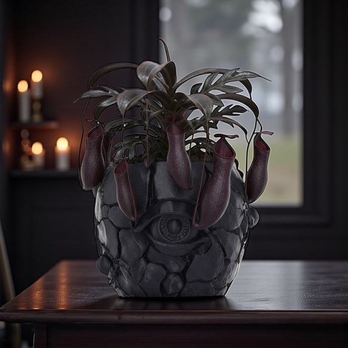 3D Printed "Cragma" Planter – Modern Sculptural Pot for Indoor Plants