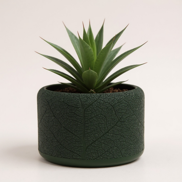 "Leaf Vein" Planter Pot with Drainage | Modern Textured Plant Pot | 3D Printed Succulent Pot Gift & Unique Home Decor