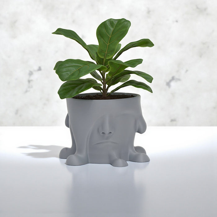 3D Printed "Melted Face" Planter – Modern Sculptural Pot for Indoor Plants