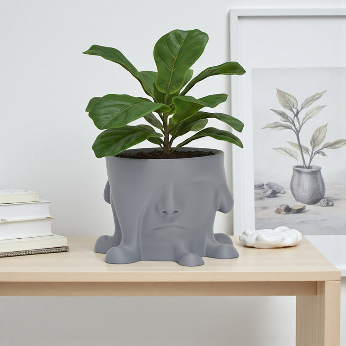 3D Printed "Melted Face" Planter – Modern Sculptural Pot for Indoor Plants