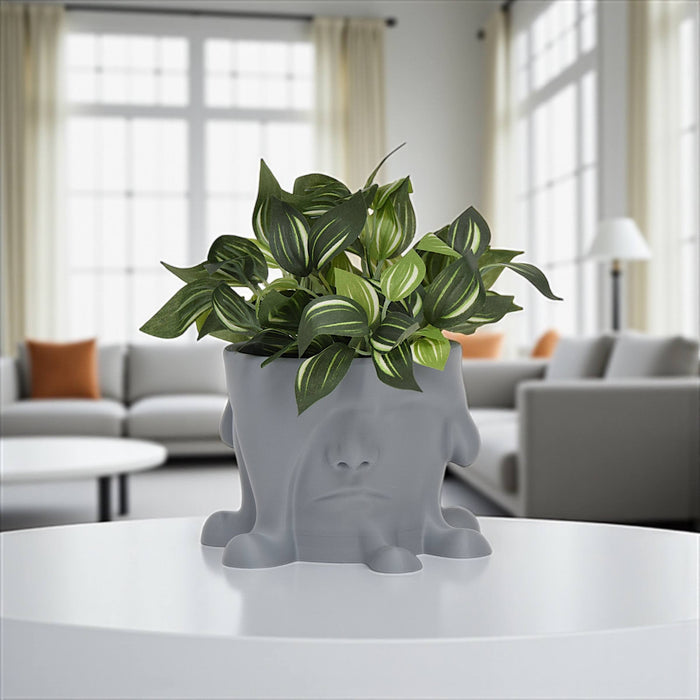 3D Printed "Melted Face" Planter – Modern Sculptural Pot for Indoor Plants