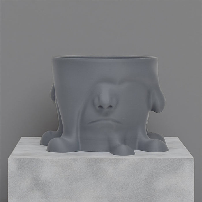 3D Printed "Melted Face" Planter – Modern Sculptural Pot for Indoor Plants