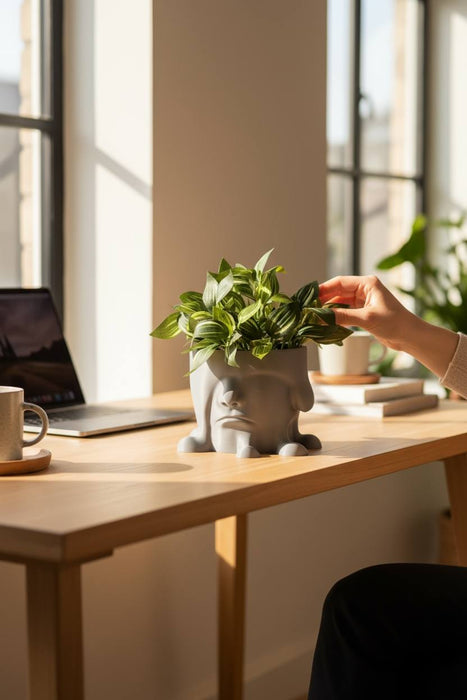 3D Printed "Melted Face" Planter – Modern Sculptural Pot for Indoor Plants