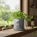 Custom 3D Printed Planter “Myco” – Mushroom Pot with Saucer, Choose Two Colors, Forest Decor · by Viviero3D