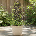 Mycora mushroom-themed plant trellis for indoor climbing plants, front view