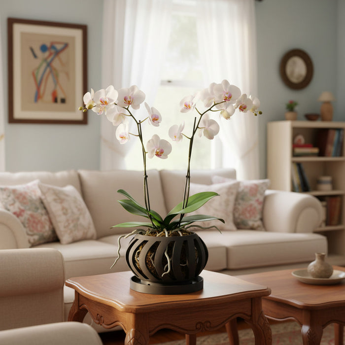 Orchid Pot "Oryx" eco-friendly, drainage |  color & size options