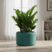 Planter «Pelta” by Viviero3D – Modern 3D Printed Planter, Sculptural Scaly Plant Pot, Textured Design