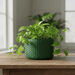 Planter «Pelta” by Viviero3D – Modern 3D Printed Planter, Sculptural Scaly Plant Pot, Textured Design