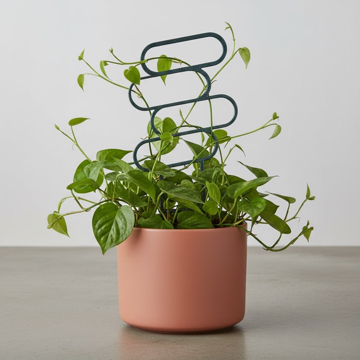 3D Printed Plant Trellis "Loop Arc" | Modern Indoor Vine Support | Small Houseplant Accessory | Minimalist Plant Decor