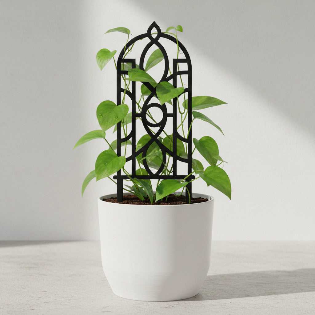 Black Fenestra arched plant trellis supporting a climbing houseplant in a white pot