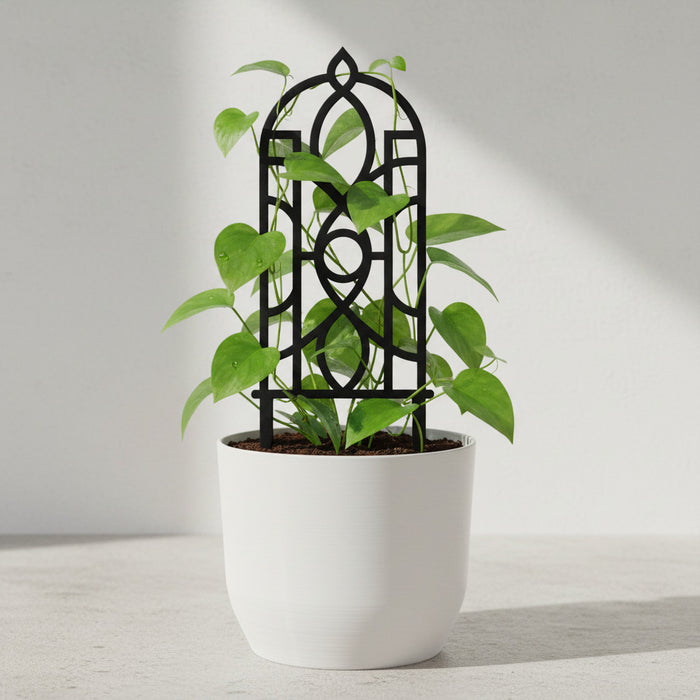 Black Fenestra arched plant trellis supporting a climbing houseplant in a white pot