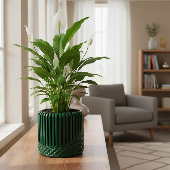 3D Printed Modular "Riona" Planter with Drainage, Insert & Stand | Customizable  with Screw Base