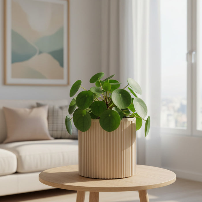 Fluted Planter with Drainage, Ribbed Plant Pot "Sano"