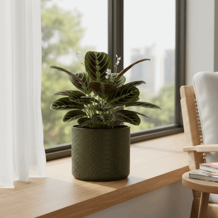 3D Printed Snake Texture Planter Pot “Serpen”  with Saucer | Textured Plant Pot · by Viviero3D