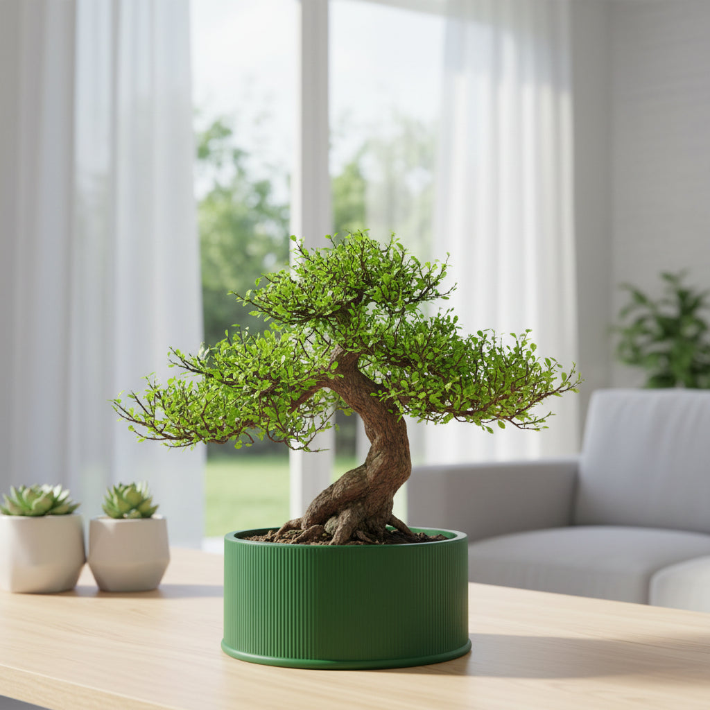 Tori shallow silhouette with fine ribbed texture bonsai planter, front view